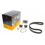 Комплект ГРМ + помпа Citroen Jumpy/Peugeot Expert 2.0HDi/Fiat Scudo 2.0 JTD 99-06 (25x144z)