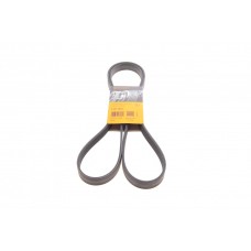 Ремінь генератора Toyota Corolla 1.4/1.6 99-02/Ford Mondeo 2.5 96-00/Renault Laguna 1.6 07-15