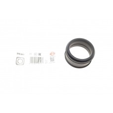 519.300 ELRING Ущільнювальне кільце, Трубка нагнітаємого повітря