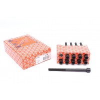 Комплект болтів головки циліндра ELRING 590.400