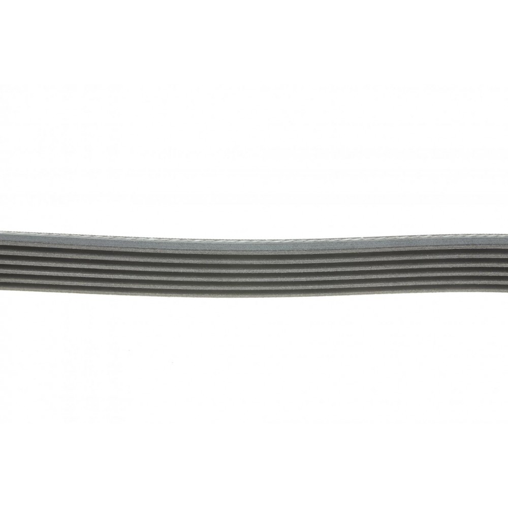 Ремінь генератора Chevrolet Lacetti/Nubira 2.0D 05-/Honda Civic IX 1.6/1.8 i-VTEC 11-16
