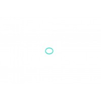 Прокладка кришки горловини маслозаливної BMW 1 (E81/E82/E87/E88)/3 (E90-E93)/X1 (E84) 08- N47/N43