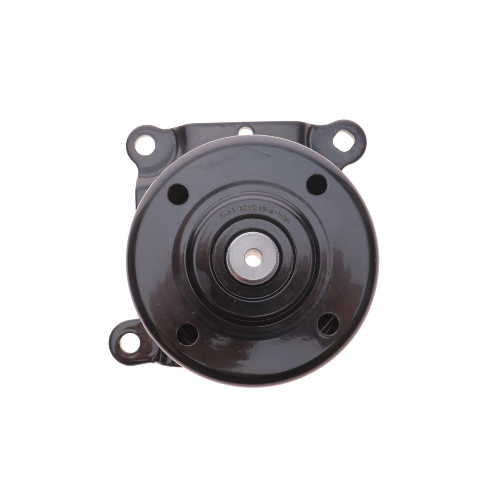 Натяжник ременя генератора Citroen Jumper 2.2HDI/Ford Transit 2.2DI 06- (+AC)