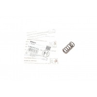 Пружинка ТНВД Renault/Iveco/VW/MAN