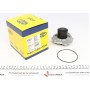 352316170317 MAGNETI MARELLI Водяний насос охолодження двигуна