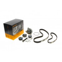 Комплект ГРМ + ТНВД + помпа VW LT 2.5SDI/VW T4 2.5 TDI 96-06 (26.4x122z/20.8x81z) (3 ролика+2 ременя)