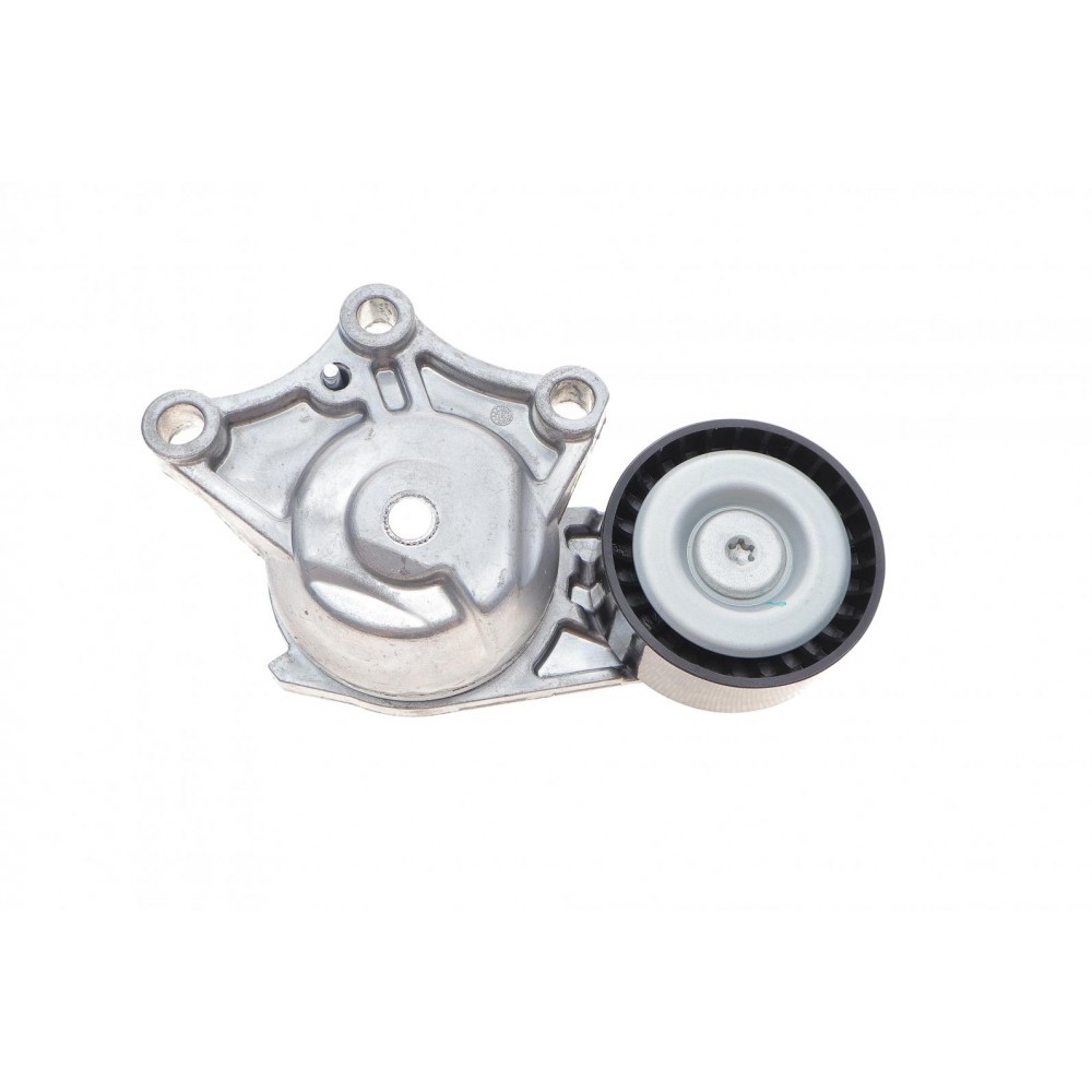 Натяжник ременя генератора Peugeot Partner/Citroen Berlingo 1.6HDi 05- (65x25)