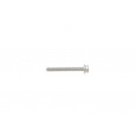 Болт кришки клапанної VW Golf/Passat/Tiguan/Touran 08-18