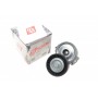 Натяжник ременя генератора Fiat Scudo/Peugeot Boxer/Partner 2.0-2.2HDI 99-