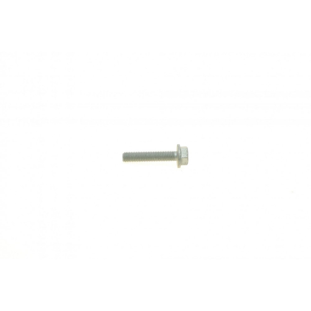 Болт (M8x1.25x40mm) (10.9 VZ)