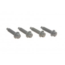Болт кронштейна подушки двигуна BMW 3 (E90)/5 (E60) 03-11 M57/N47/N52/N57 (к-кт)