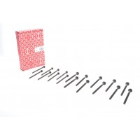 Комплект болтів головки циліндра ELRING 733.100