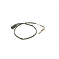 Датчик температури ВГ (в каталізаторі) VW T5 2.0 TDI 09-15