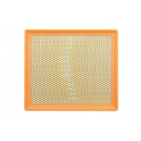 Фільтр повітряний Renault Master 2.2dCi/2.5dCi 03-/Opel Movano 2.2DTI/2.5CDTI 03-10 (з сіткою)