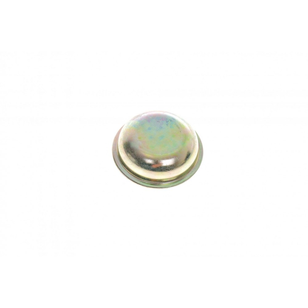 52195 AIC Предохранительная крышка, Ступиця колеса