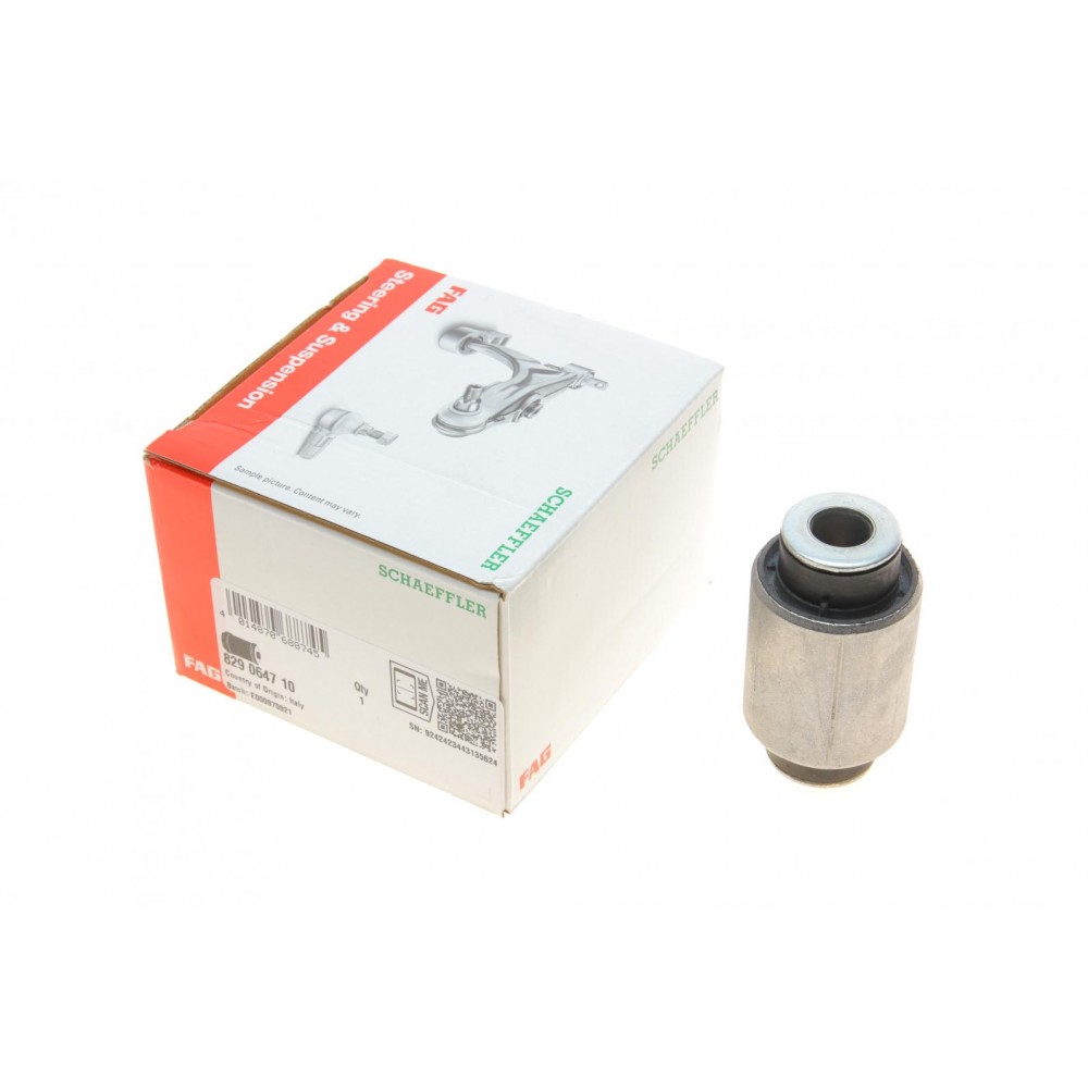 829 0647 10 FAG Підвіска важіль незалежної підвіски колеса