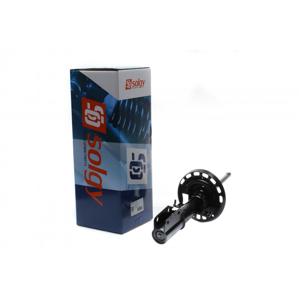 Амортизатор (передній) Renault Scenic III 09- (Газ)