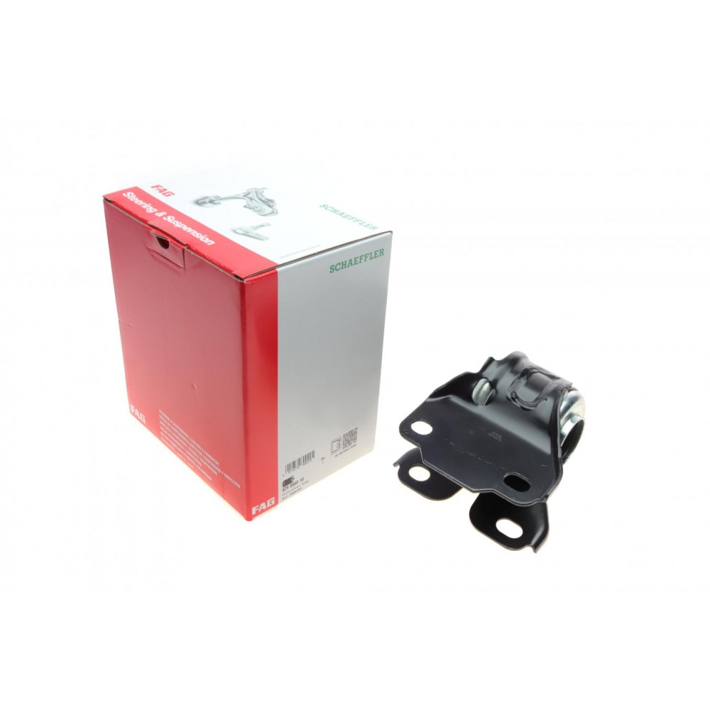 829 0660 10 FAG Підвіска важіль незалежної підвіски колеса