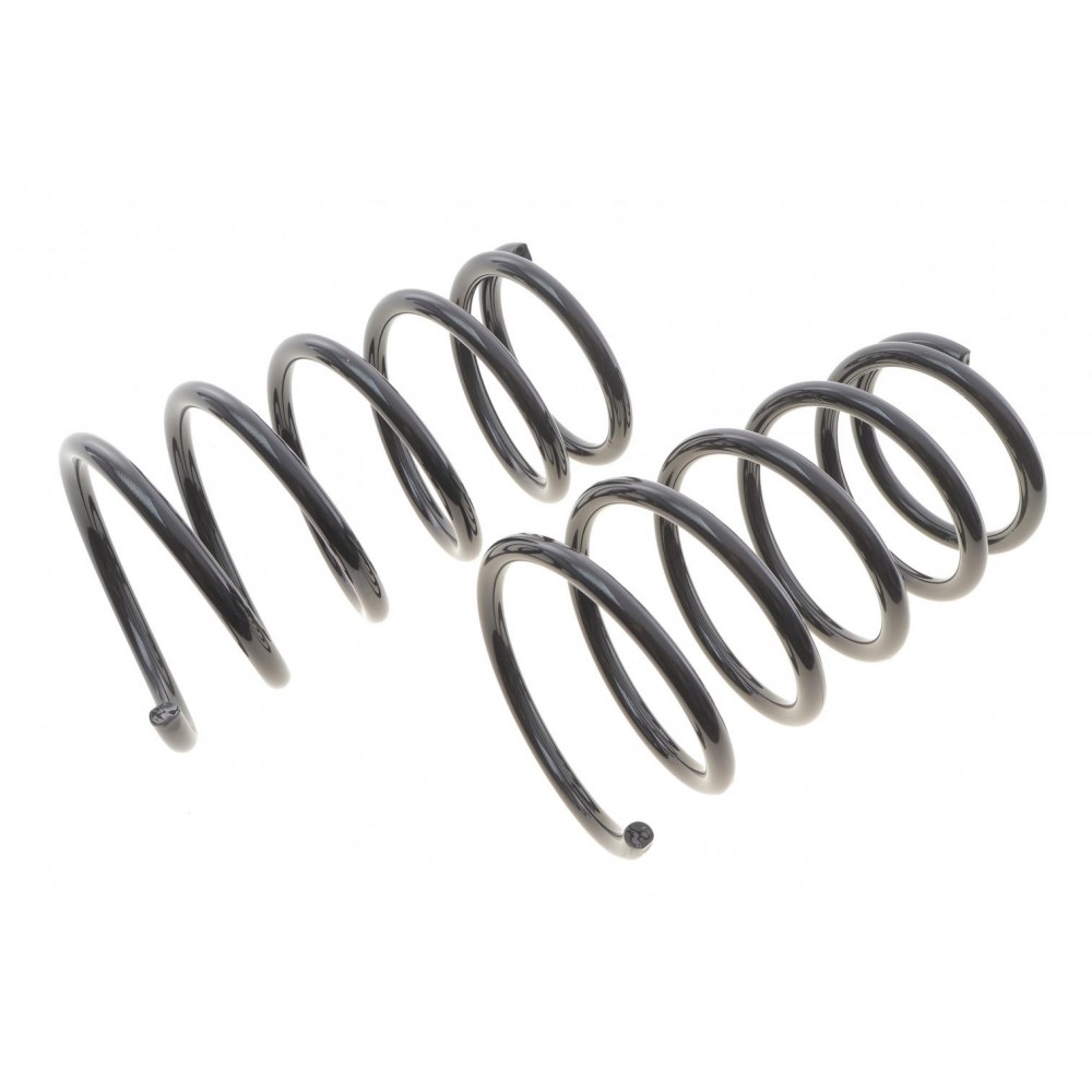 Пружина (задня) Nissan X-Trail 2.0/2.0 4x4/2.2DCi/Di/2.5 4x4 01-13