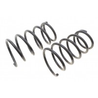 Пружина (задня) Nissan X-Trail 2.0/2.0 4x4/2.2DCi/Di/2.5 4x4 01-13