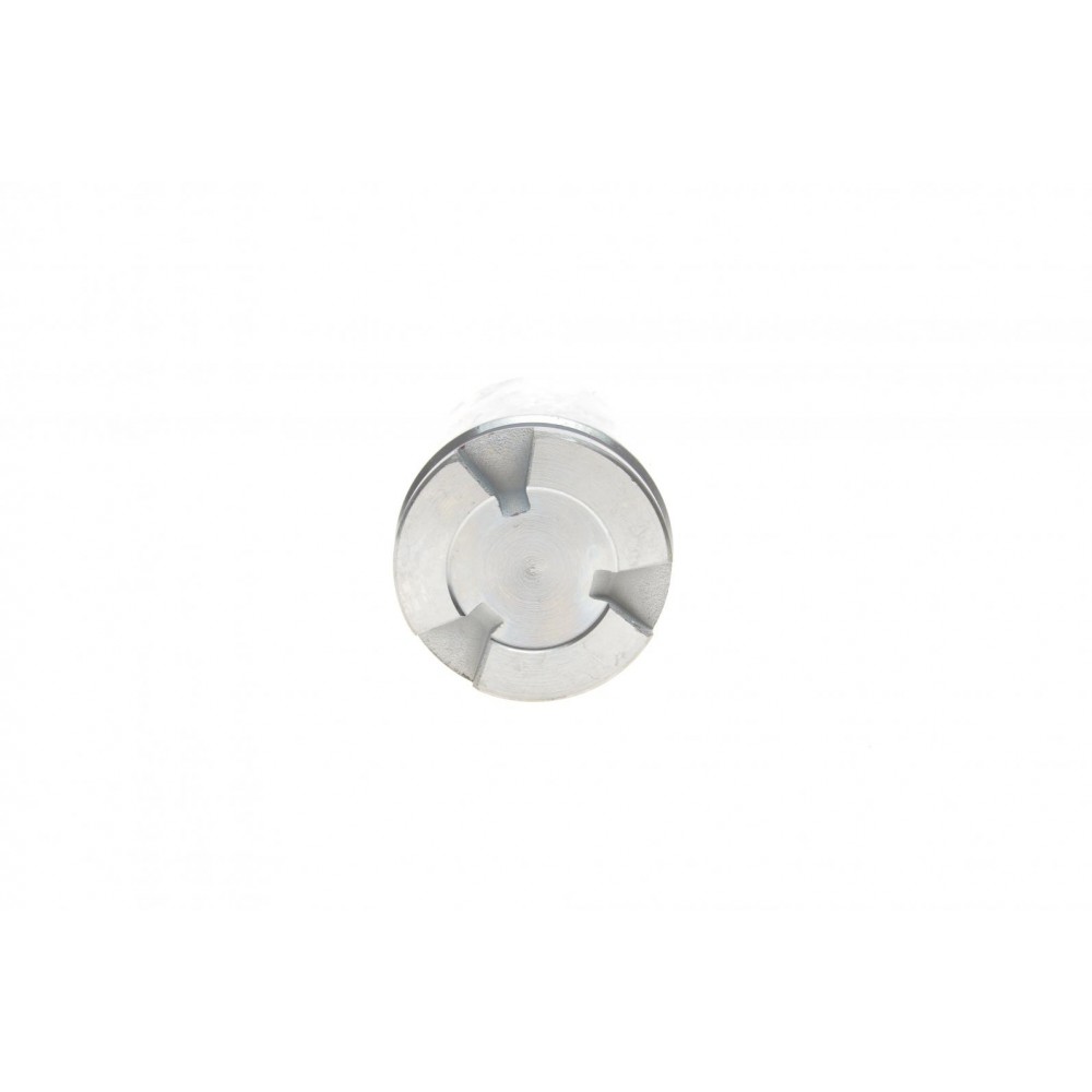 Поршень супорта (заднього) Audi A6/VW Passat/Sharan 04- (41x52mm) (TRW)