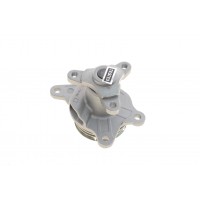 VKPC 86132 SKF Водяний насос охолодження двигуна