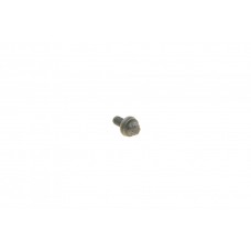 Болт (M7x17.3mm) BMW 3 (E90-E93/F31)/5 (E60/F10/F11)/X3 (E83/E25)/X5 (F15/25) 04- N47