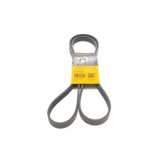 Ремінь генератора Citroen Jumper 1.9TD 94-02 (ALT,PS,AC)