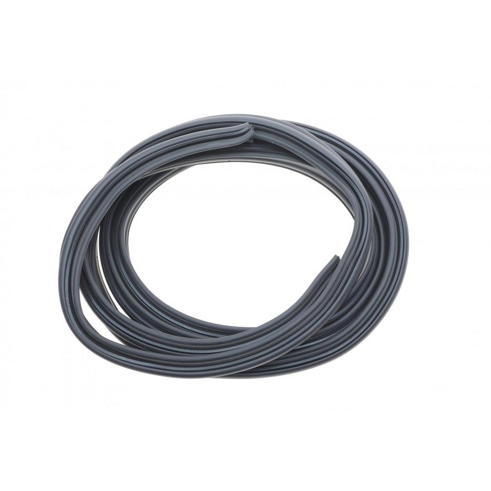 Ущільнювач дверей (задніх) Renault Kangoo 97-