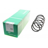 B12559 Borsehung Передня пружина,