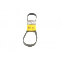 Ремінь генератора Peugeot Partner/307/508 02-/Citroen Berlingo/C2/C3/C4/C5 1.6 HDi 04-