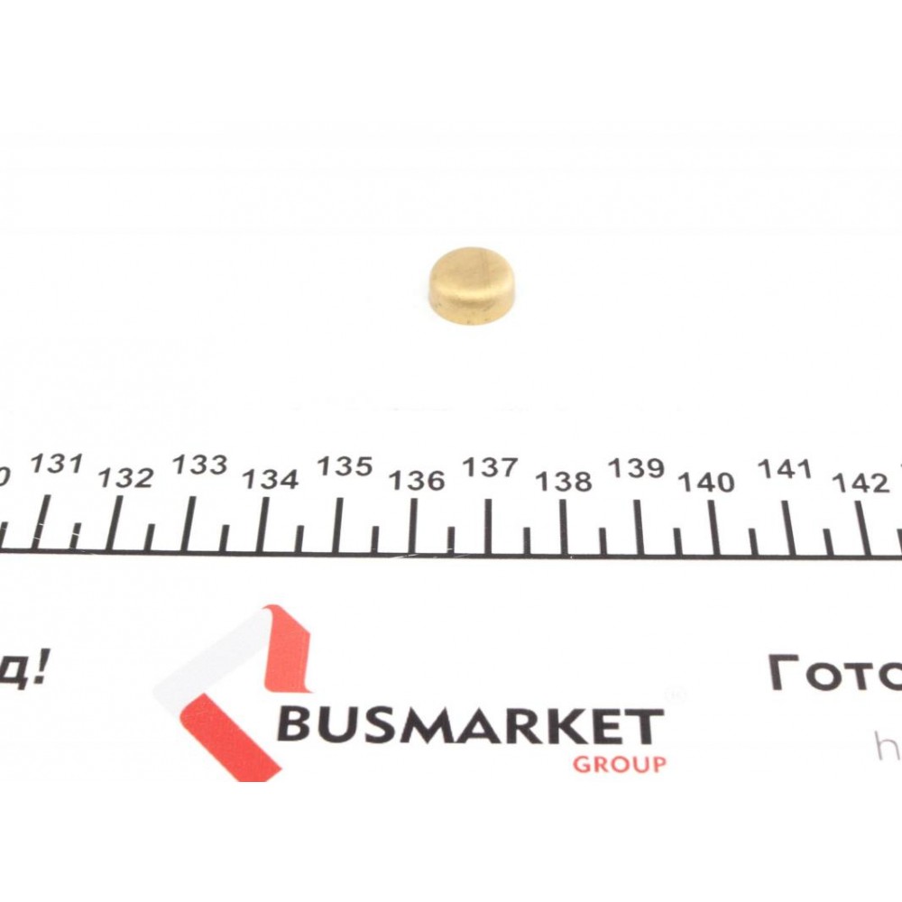 Заглушка блоку циліндрів (d=13mm) Латунь/Brass