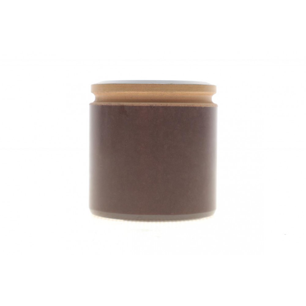 Поршень супорта (заднього) Jeep Cherokee 08-/Wrangler III 07-/Dodge Nitro 06-12 (48x49.5mm) (TRW)