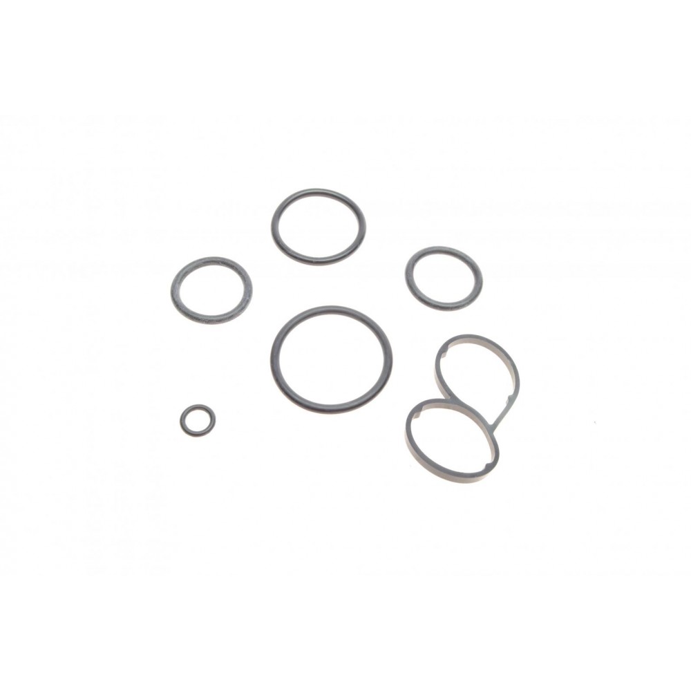 Прокладка радіатора масляного Citroen 1.6HDi 13-15/VW Touareg 4.2 02-06 (К-кт)