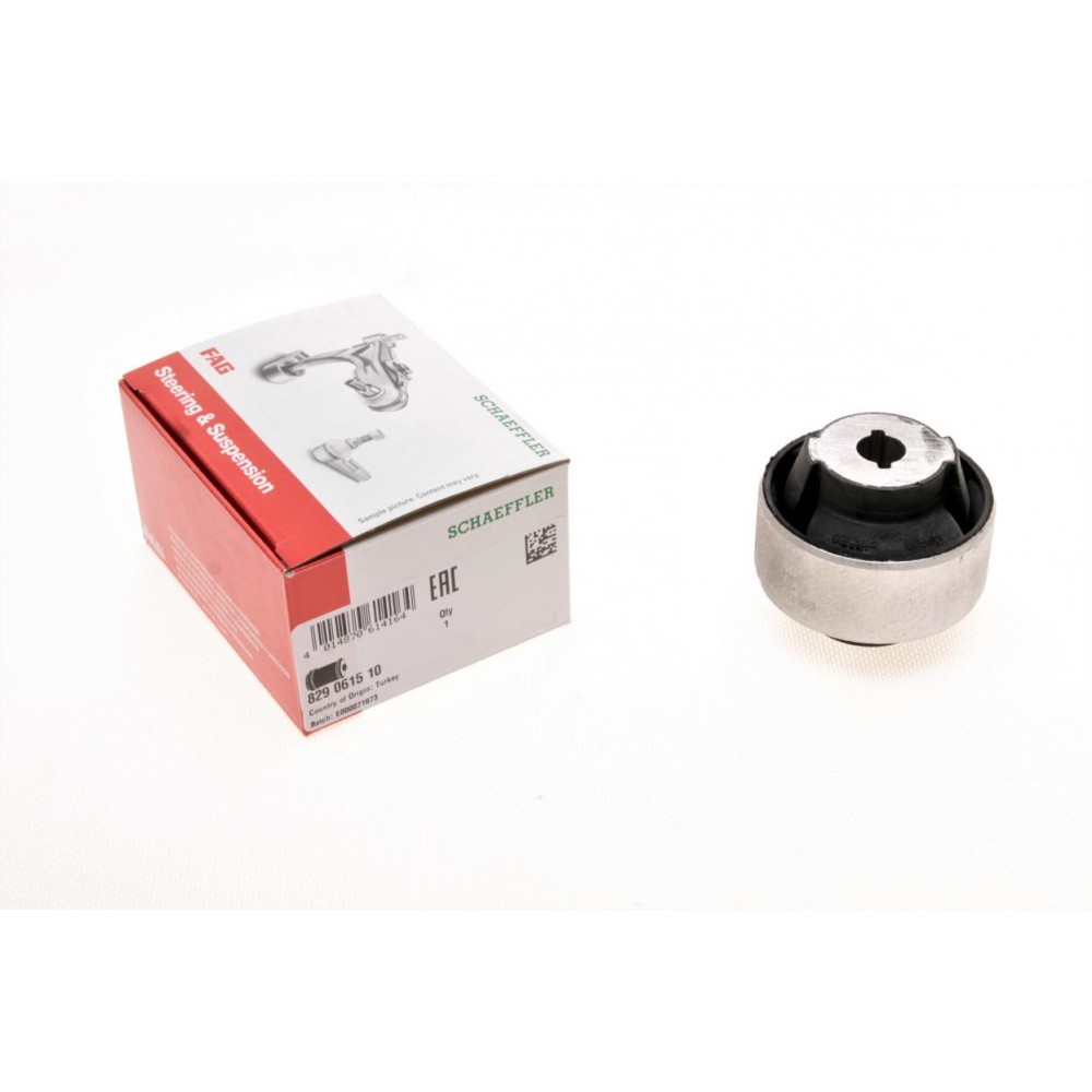 829 0615 10 FAG Підвіска важіль незалежної підвіски колеса