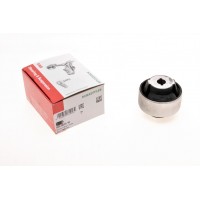 829 0615 10 FAG Підвіска важіль незалежної підвіски колеса