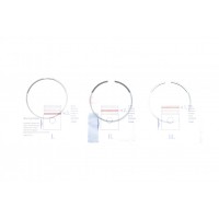 Кільця поршневі Volvo S60/S80/V60/V90/XC40/XC60/XC70/XC90 2.0D 13- (82.00mm/STD) (2-1.75-2)