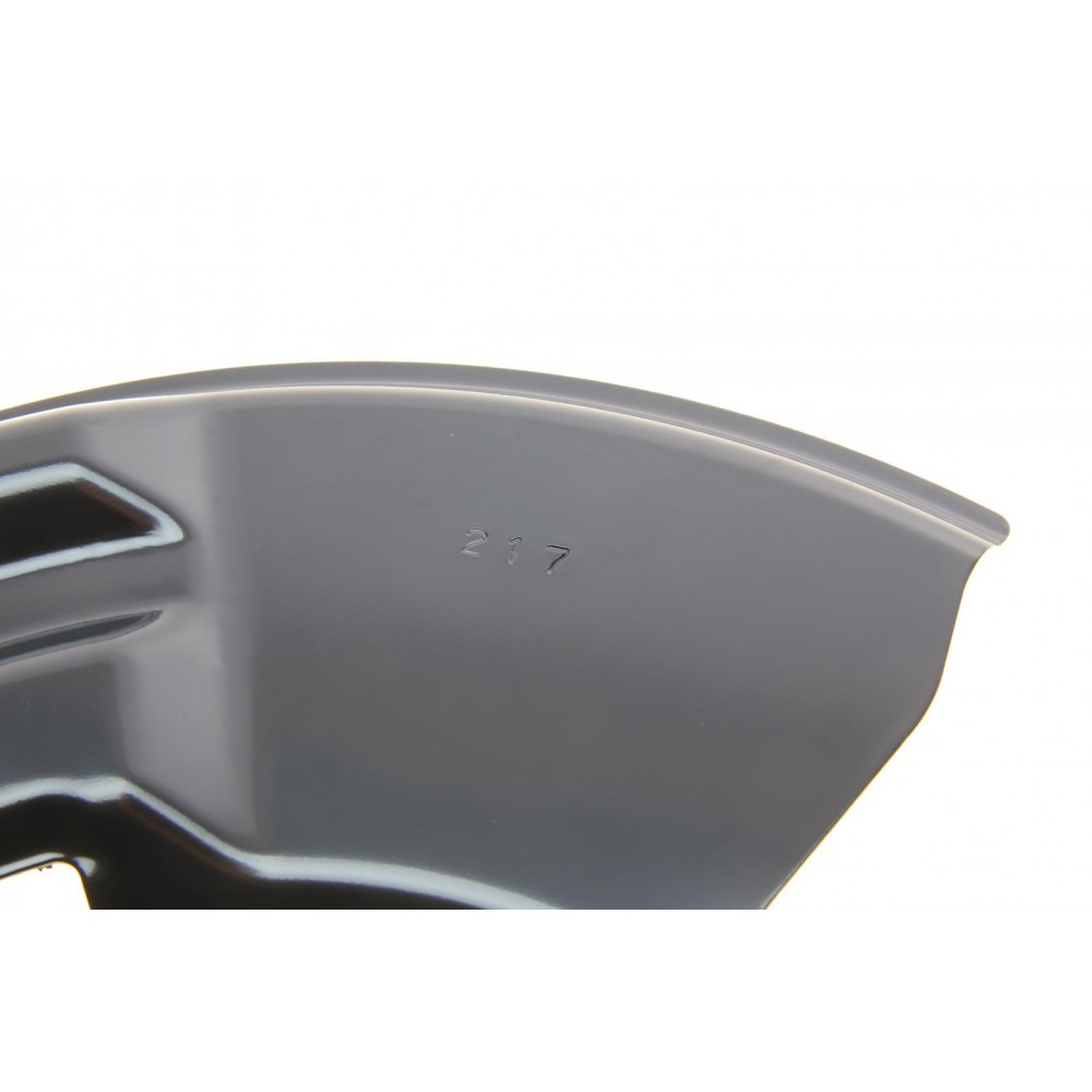 Захист диска гальмівного (заднього) (R) BMW 3 (F30/F80) 11-