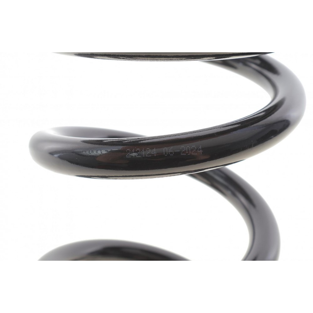 Пружина (задня) Mitsubishi Pajero III 3.2DI-D/3.5/3.5 V6 GDI 00-07