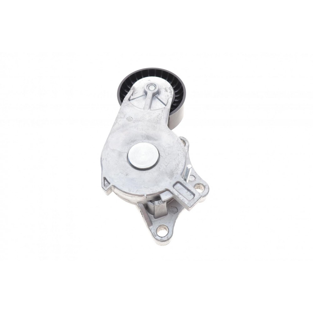 Натяжник ременя генератора Peugeot Partner/Citroen Berlingo 1.6HDi 05- (65x25)