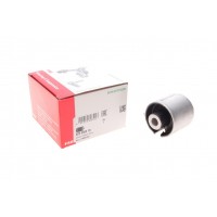 829 0585 10 FAG Підвіска важіль незалежної підвіски колеса