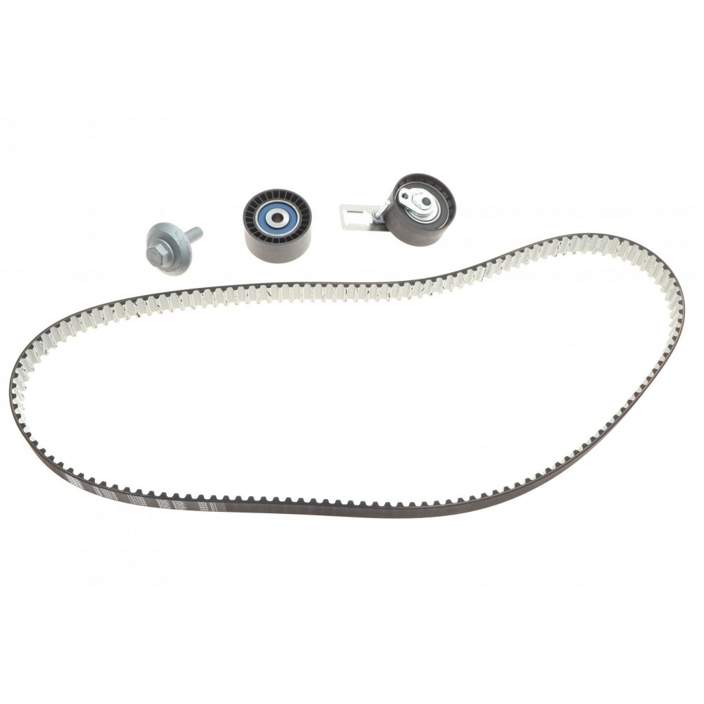 Комплект ГРМ Citroen Berlingo/Jumpy 1.6HDi 10- (25.4x141z)