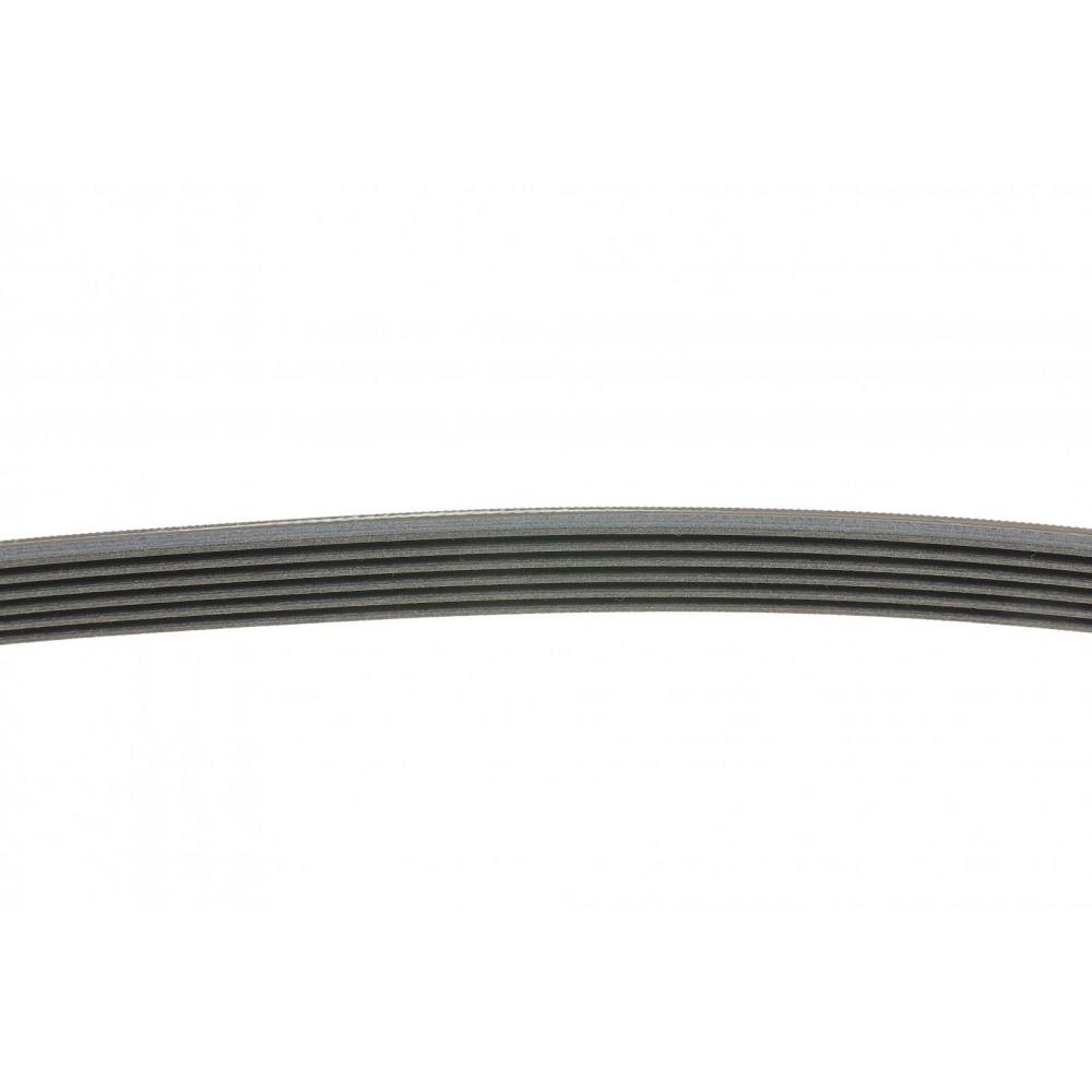 Ремінь генератора VW Caddy/T5 1.9TDI/2.0SDI 04-10/Renault Laguna/Megane/Trafic 1.9dTi/dCi 96-01