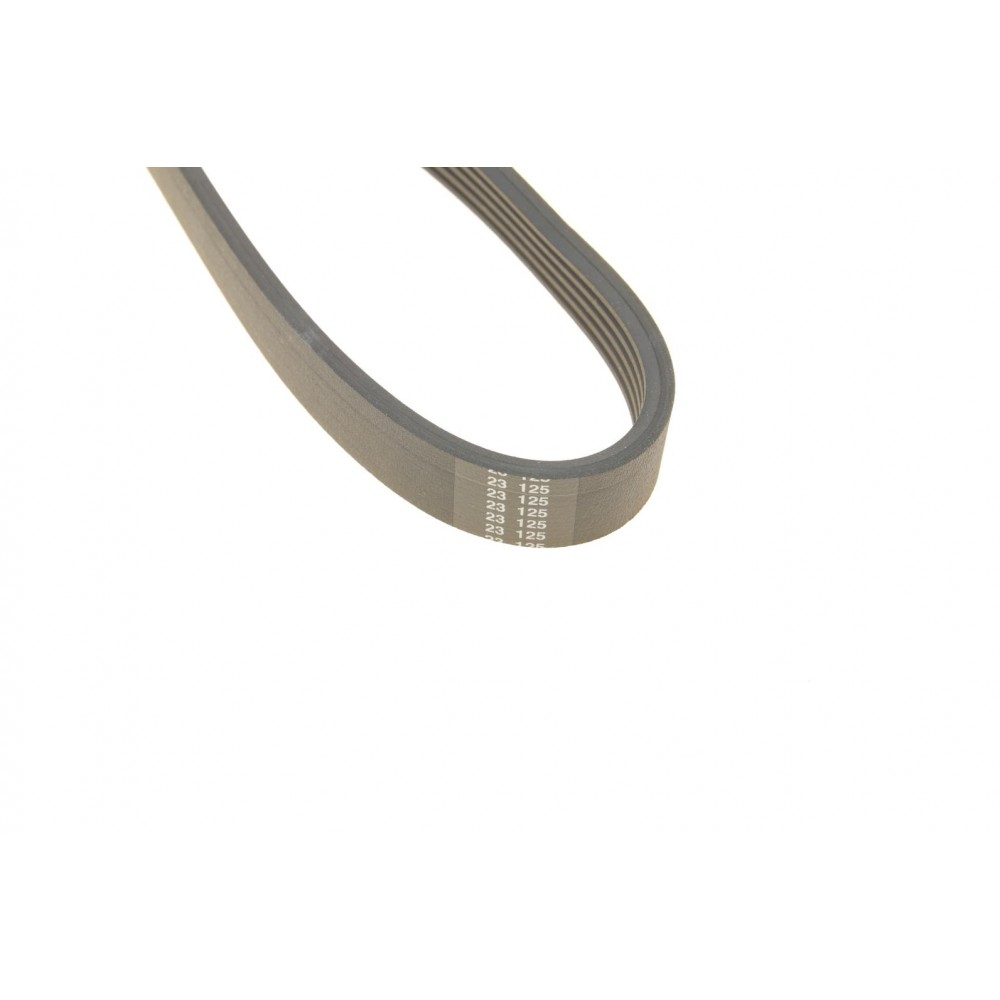 Комплект ременя генератора Renault Kangoo 1.4i/1.6i 97- (5PK 1110)