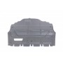 Захист двигуна Skoda Fabia/Roomster/VW Polo 06-