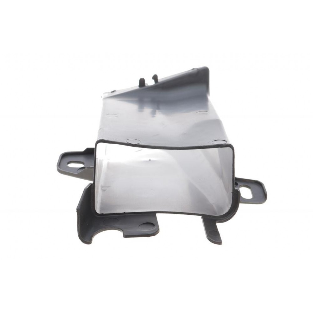 Повітропровід гальм (передній) BMW 5 (F10) 10-17 (L)