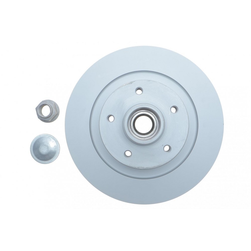 Диск гальмівний (задній) Renault Megane IV/Scenic IV 15- (з покрит.) (повний)