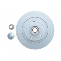 Диск гальмівний (задній) Renault Megane IV/Scenic IV 15- (з покрит.) (повний)