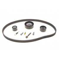 Комплект ГРМ Ford Escort/Mondeo 1.6/1.8/2.0 16V 92-00 (25x131z)