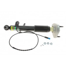 SK-3817 ARNOTT Амортизатор